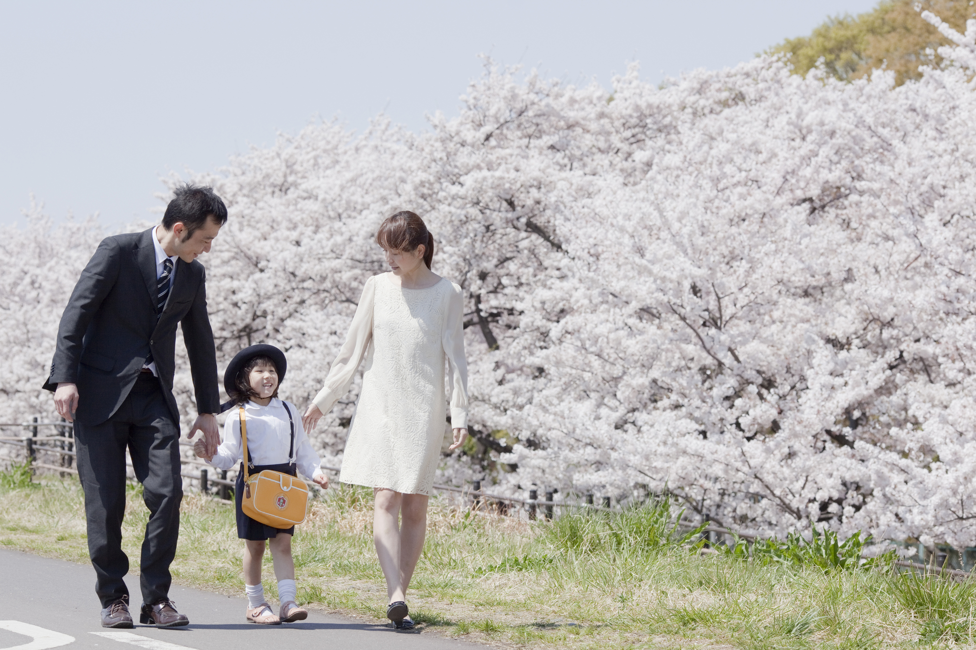 桜の木をバックに歩く両親と娘